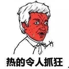 热到变身表情包,变身表情包带你领略夏日激情