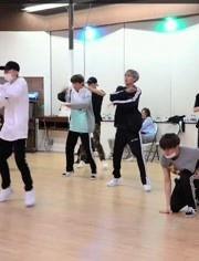 花路之旅含花絮,浪漫花海中的温馨瞬间与幕后花絮