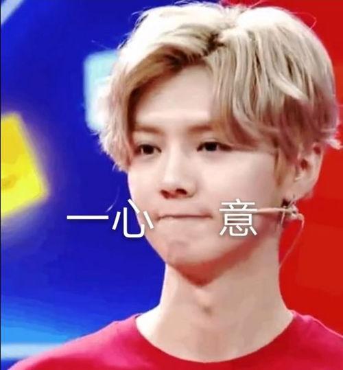 鹿晗生日祝福表情包,表情包中的温馨祝福