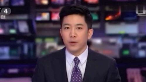 央视主持搞笑,幽默风趣引网友热议